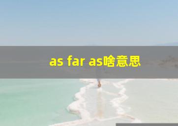 as far as啥意思